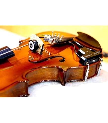 Fishman Classic Series V-200 Professional Violin Pickup : Amazon